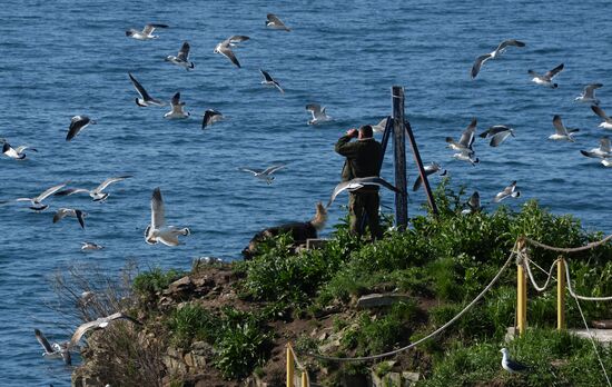 Russia Basargin Cape Lighthouse
