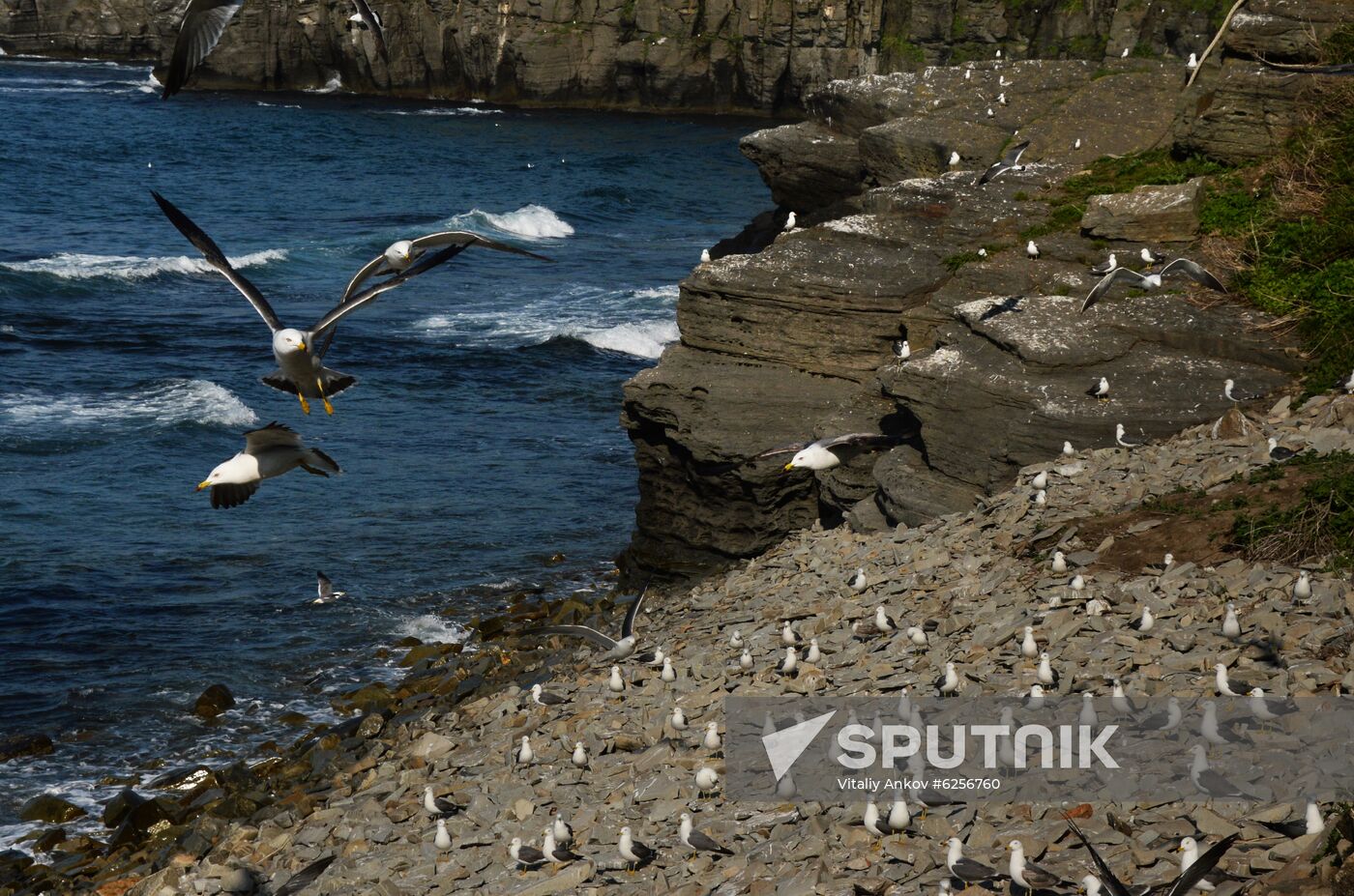 Russia Basargin Cape Lighthouse