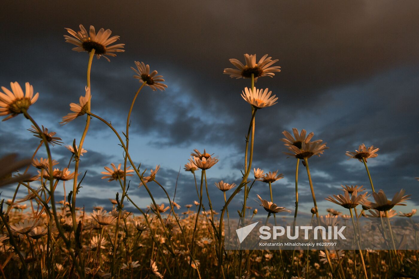 Russia Crimea Daily Life