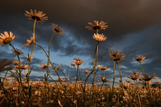 Russia Crimea Daily Life