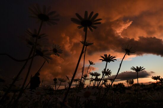 Russia Crimea Daily Life