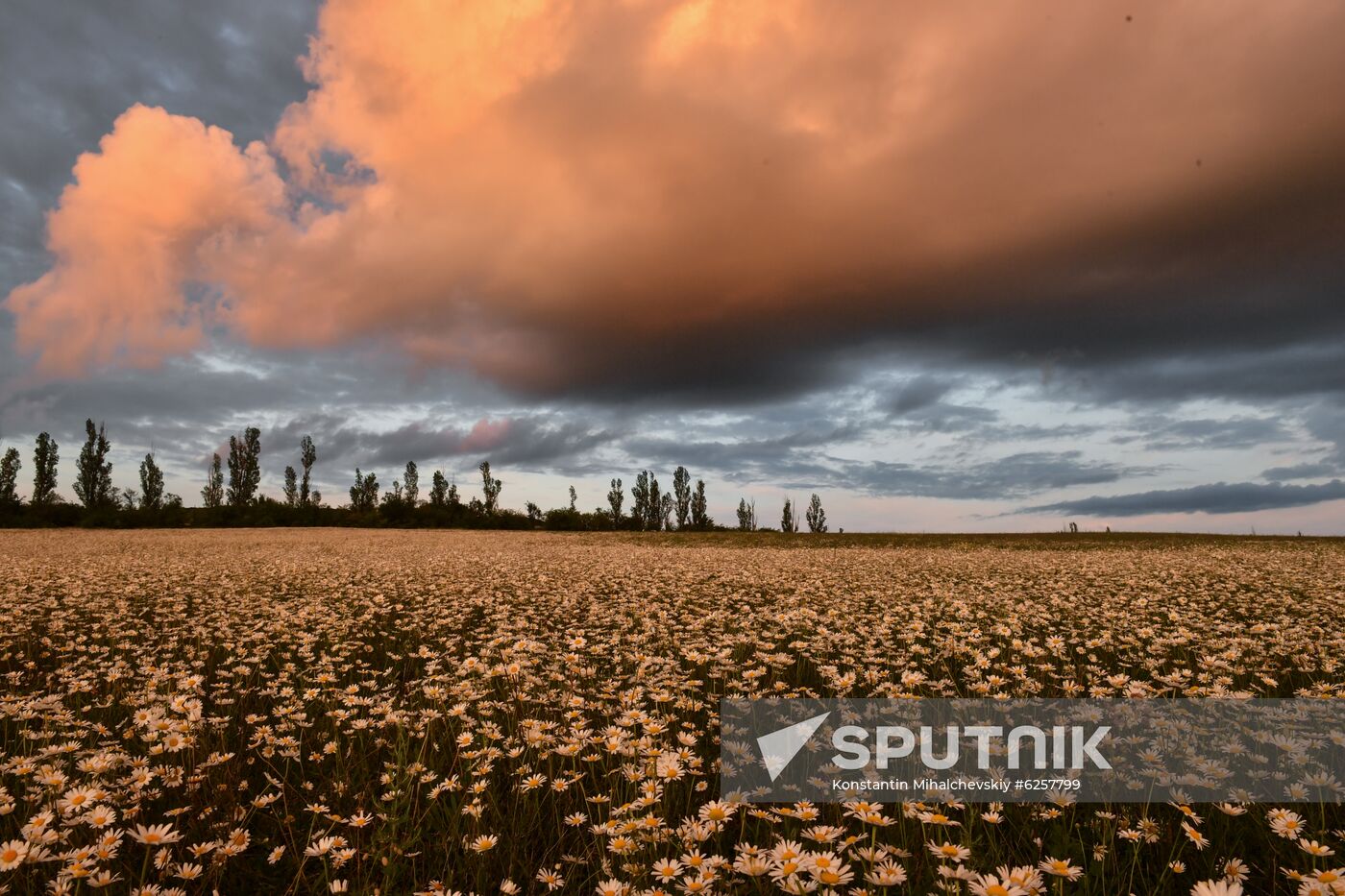 Russia Crimea Daily Life