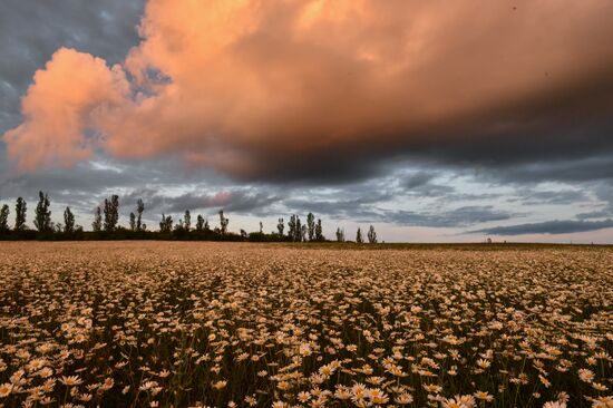 Russia Crimea Daily Life
