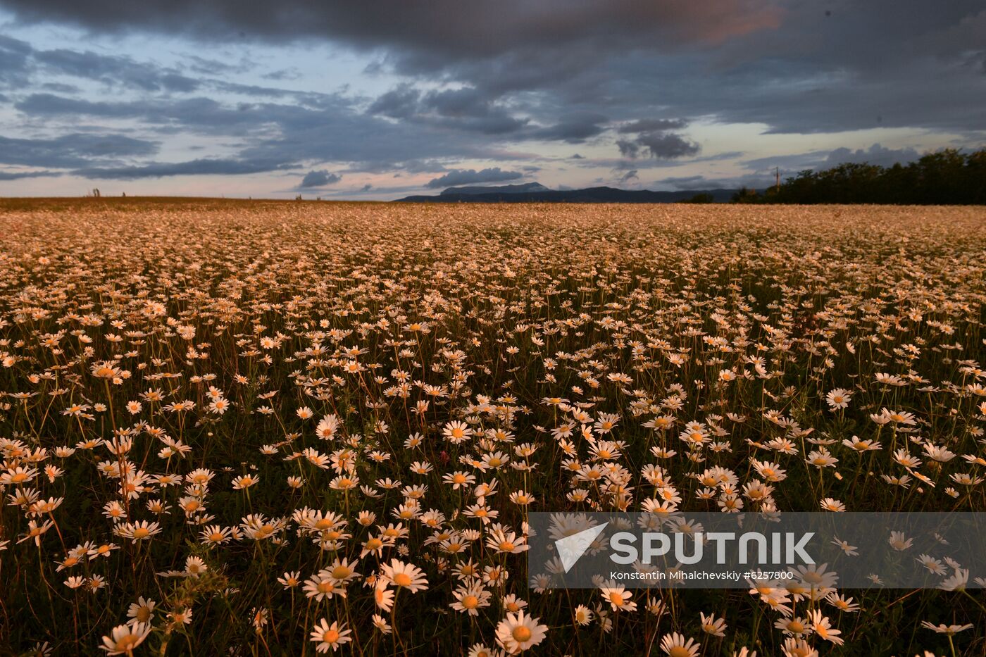Russia Crimea Daily Life