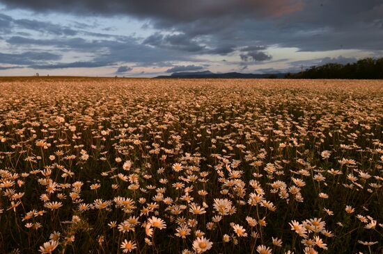 Russia Crimea Daily Life