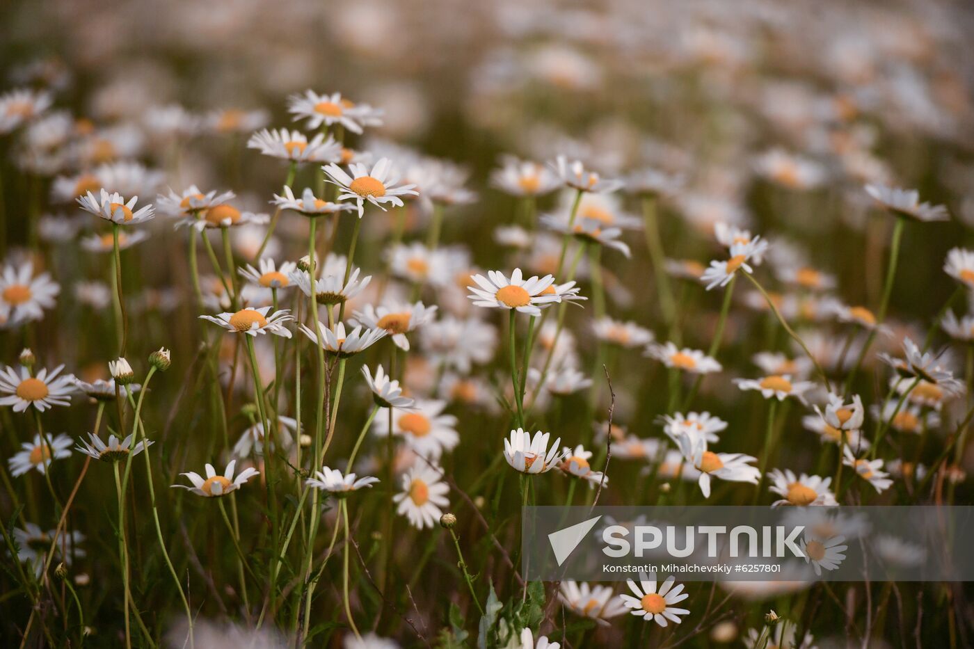 Russia Crimea Daily Life