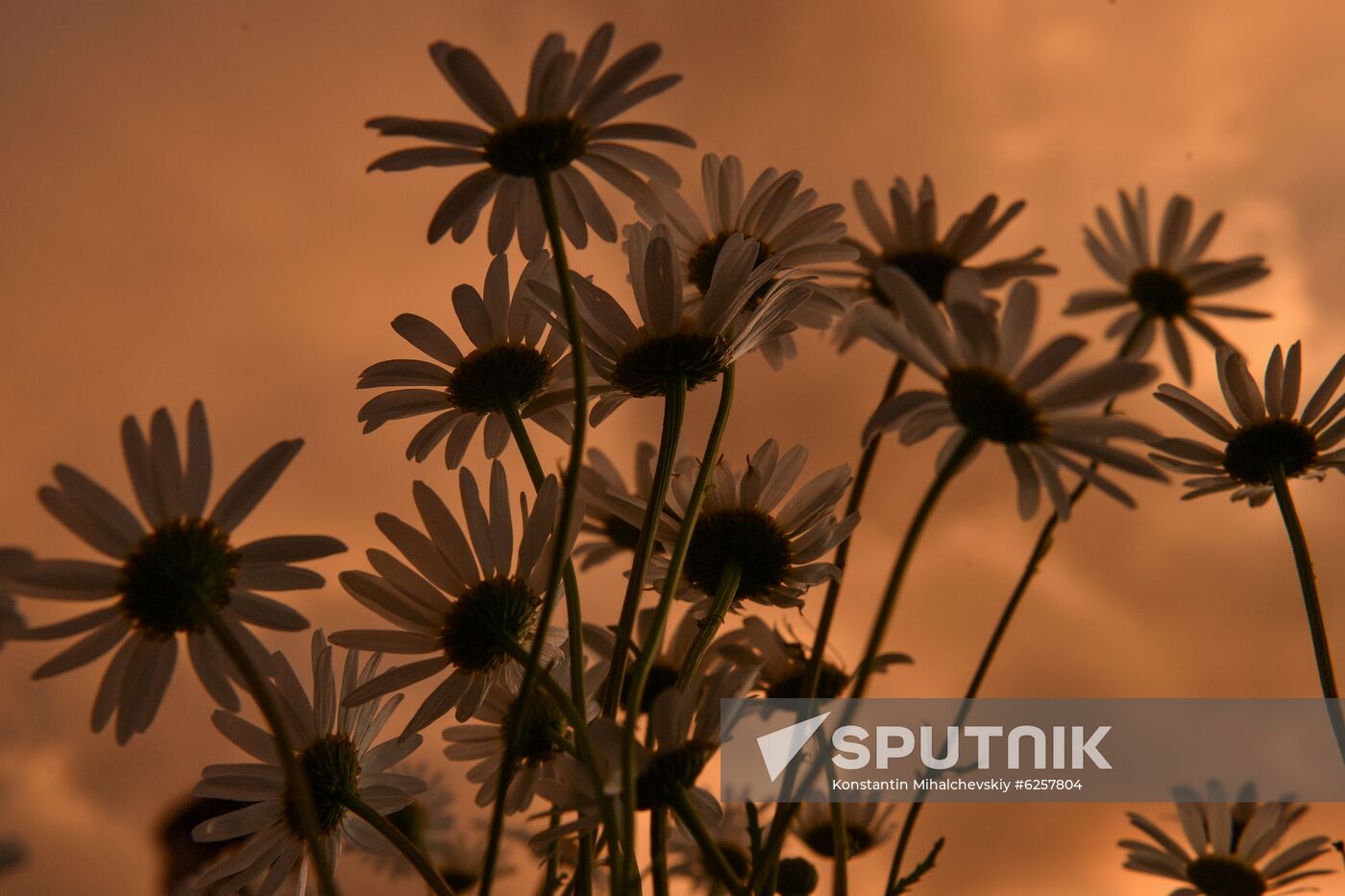 Russia Crimea Daily Life