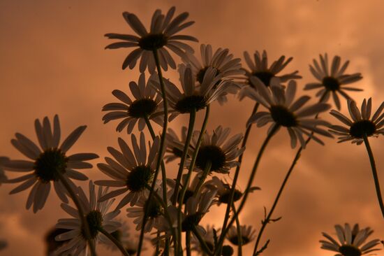 Russia Crimea Daily Life