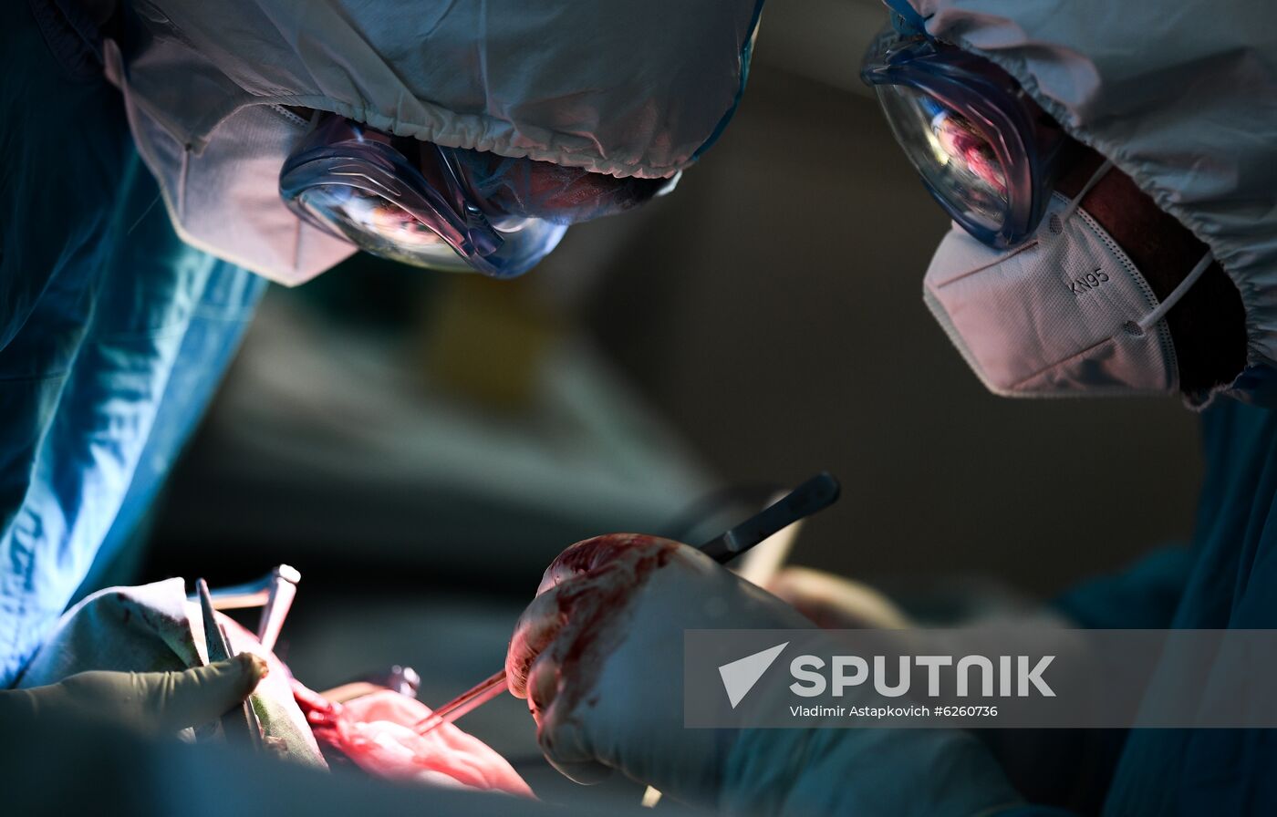 Russia Coronavirus Hospital Facilities