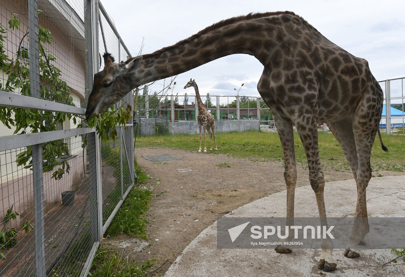 Russia Zoo