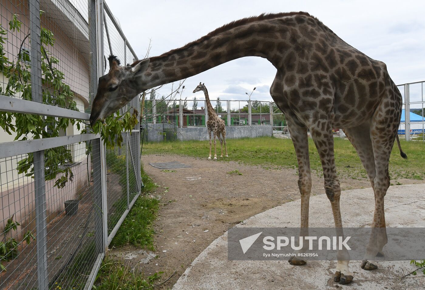 Russia Zoo