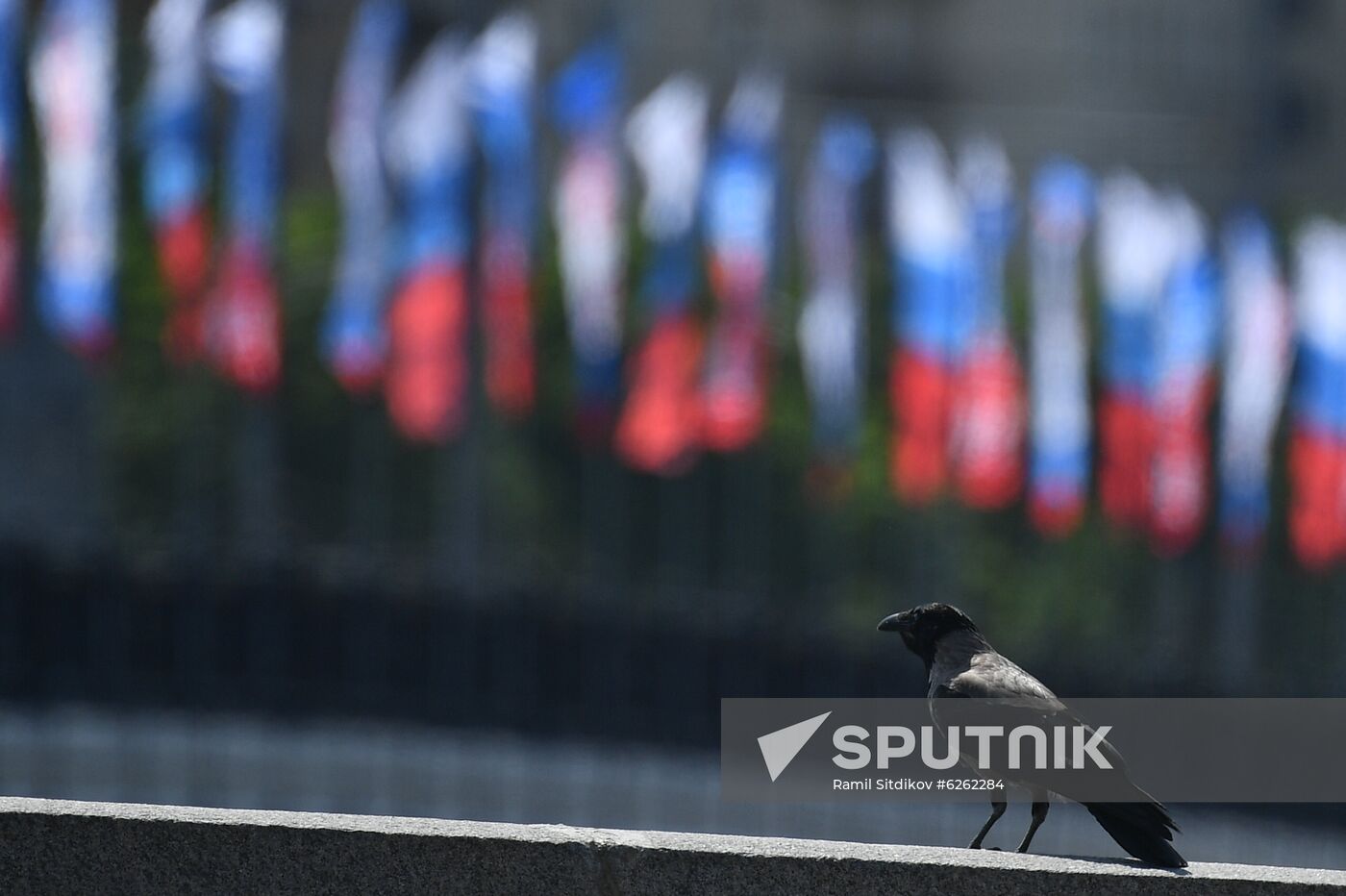 Russia Day Celebrations
