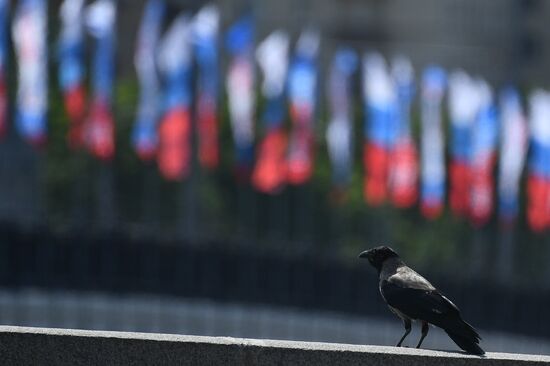 Russia Day Celebrations