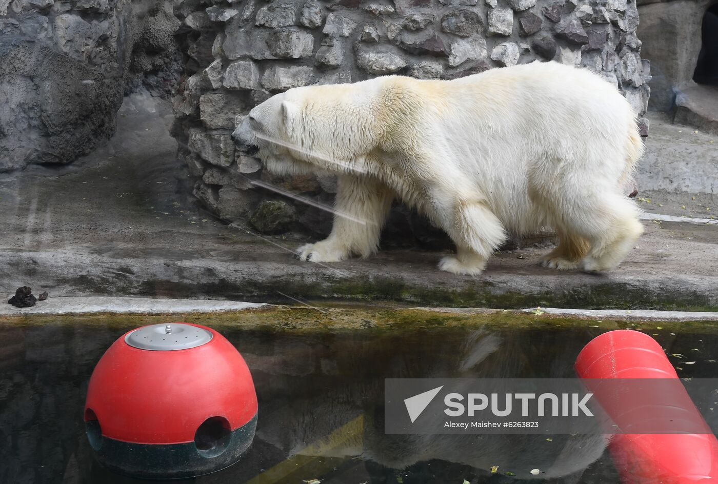 Russia Zoo 