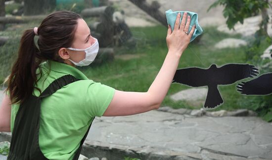 Russia Zoo 