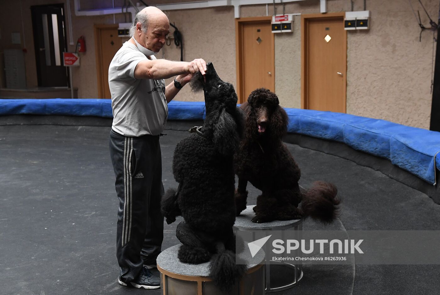 Russia Coronavirus Lockdown Ease