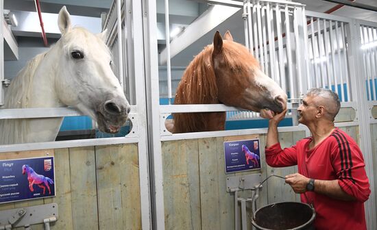 Russia Coronavirus Lockdown Ease