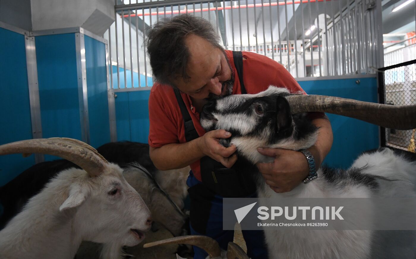 Russia Coronavirus Lockdown Ease