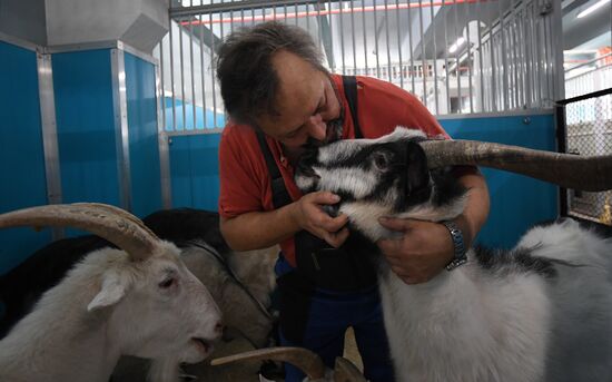 Russia Coronavirus Lockdown Ease