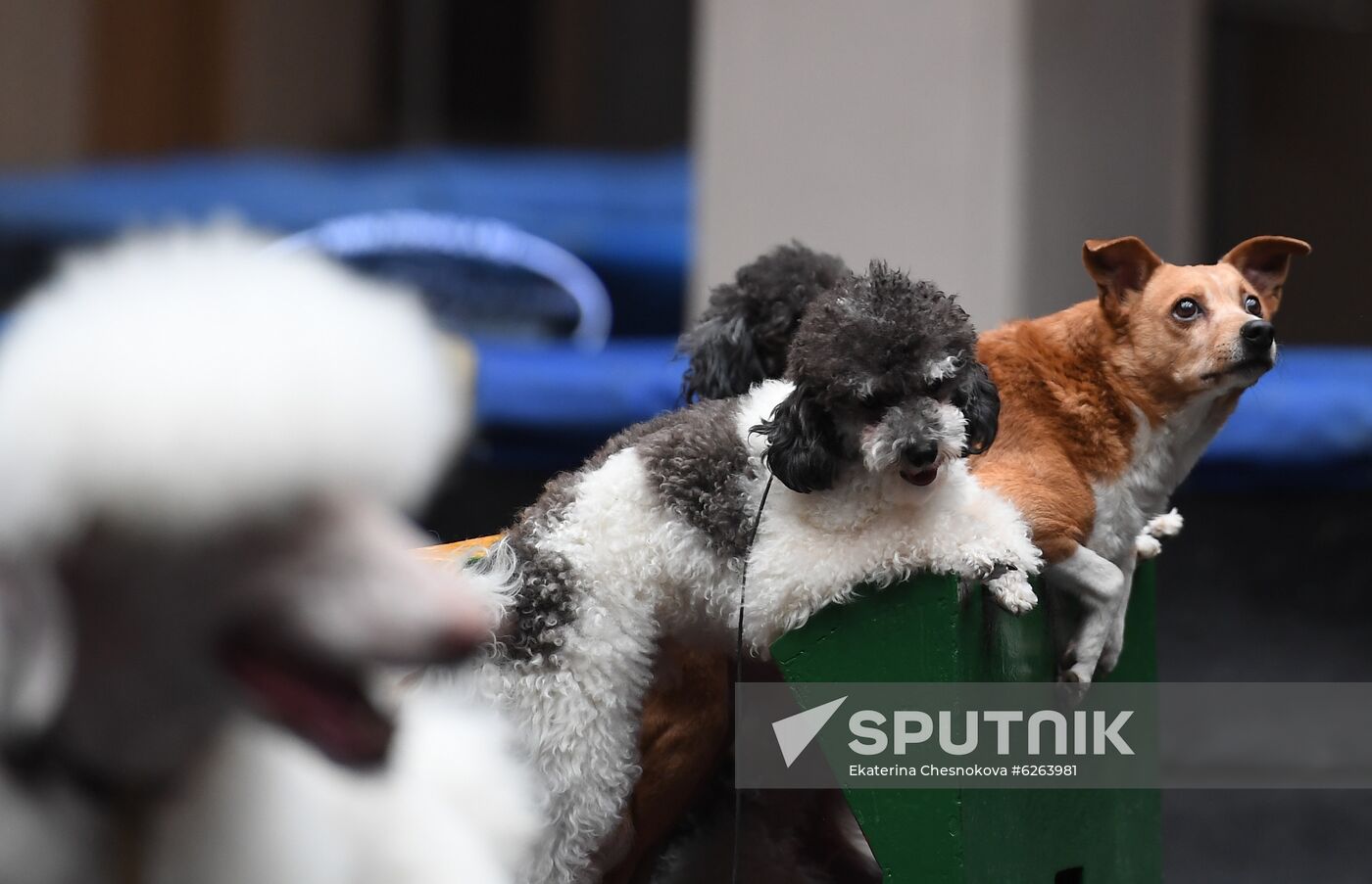 Russia Coronavirus Lockdown Ease