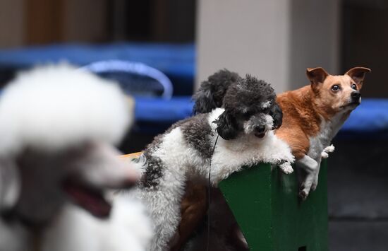 Russia Coronavirus Lockdown Ease