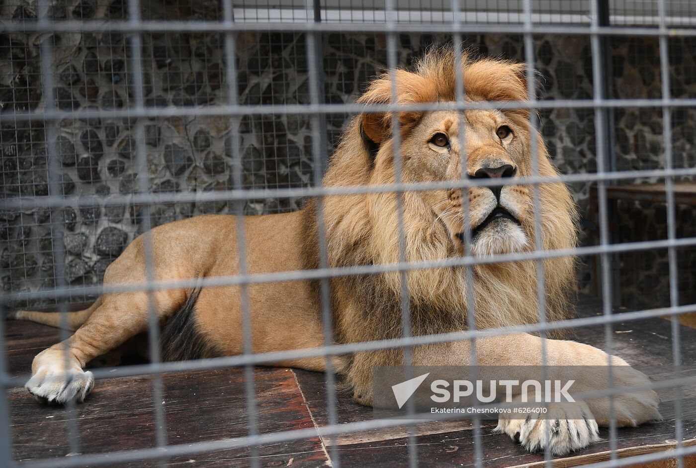 Russia Coronavirus Lockdown Ease