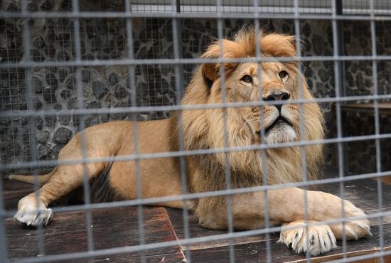 Russia Coronavirus Lockdown Ease