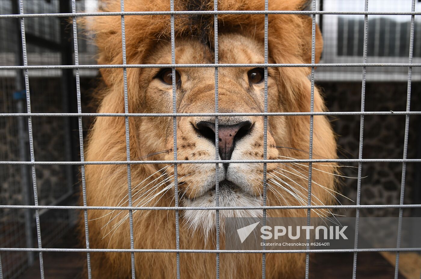 Russia Coronavirus Lockdown Ease