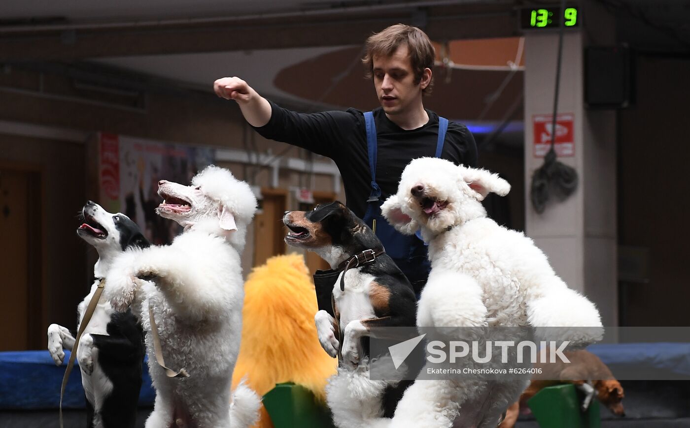 Russia Coronavirus Lockdown Ease
