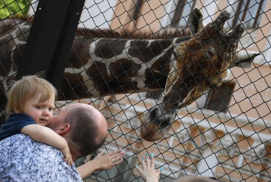 Russia Zoo