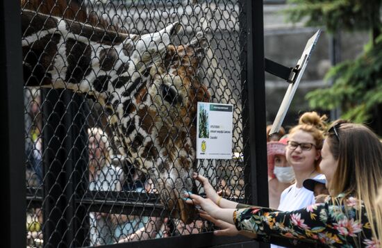 Russia Zoo
