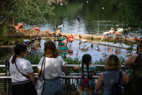 Russia Zoo