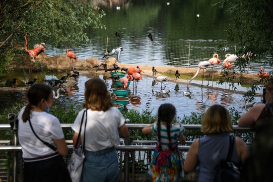 Russia Zoo