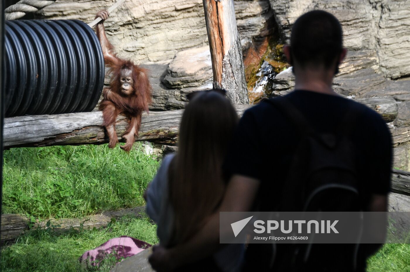 Russia Zoo
