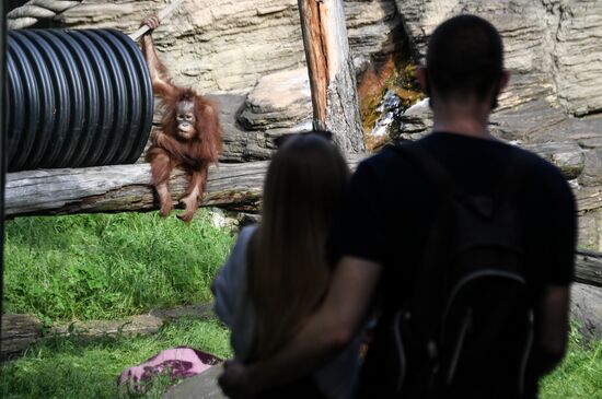 Russia Zoo