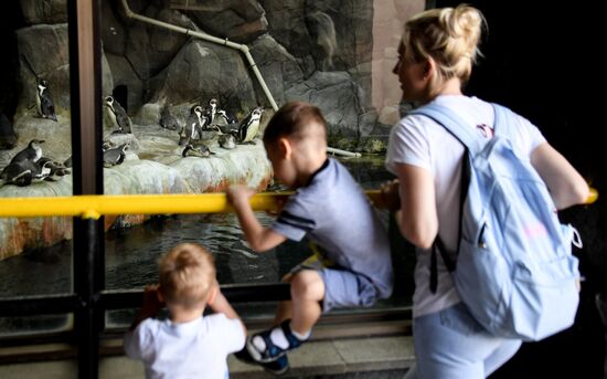 Russia Zoo