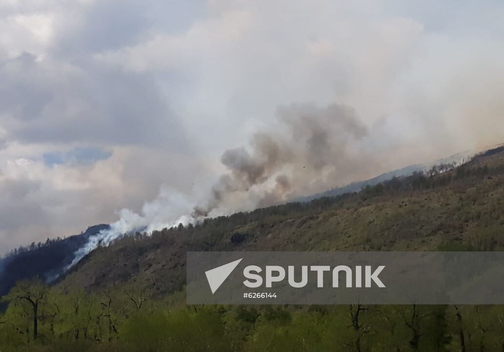 Russia Wildfires