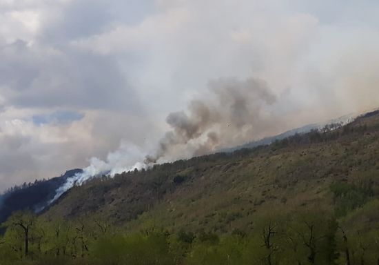 Russia Wildfires