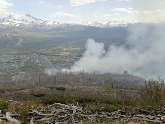 Russia Wildfires