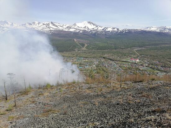 Russia Wildfires