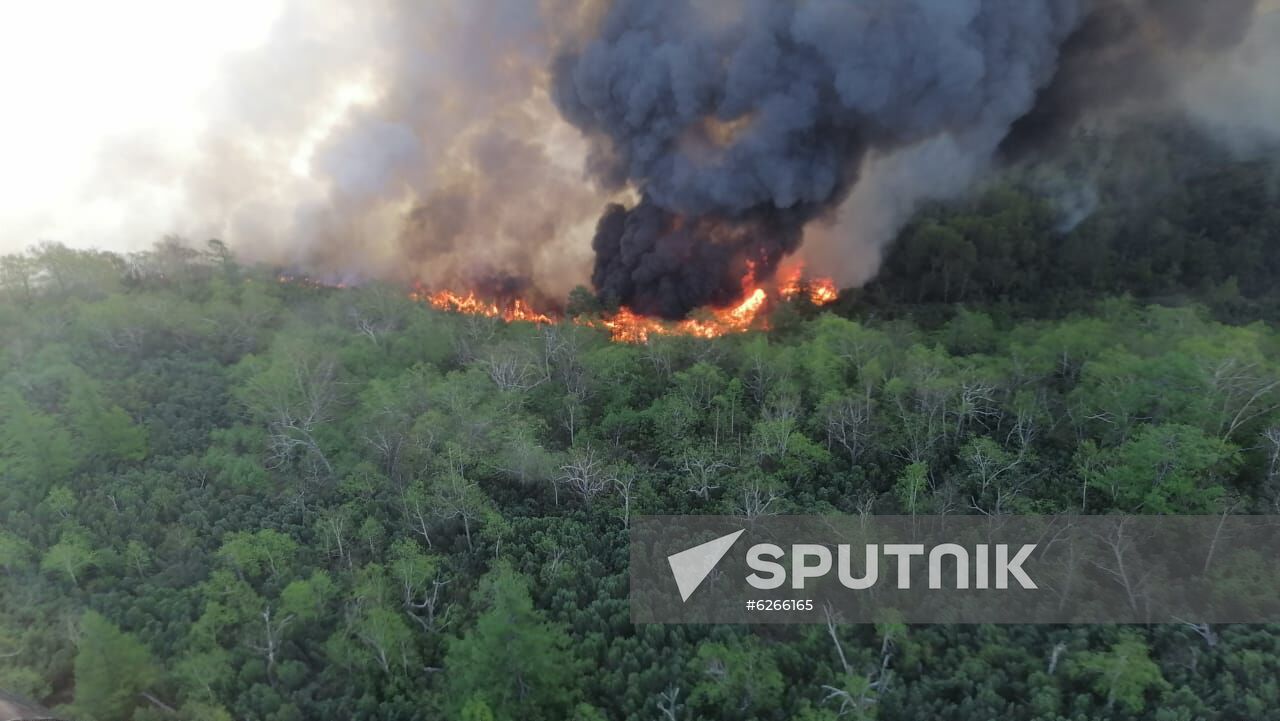 Russia Wildfires