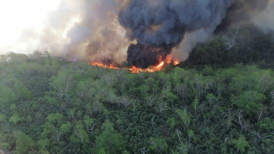 Russia Wildfires