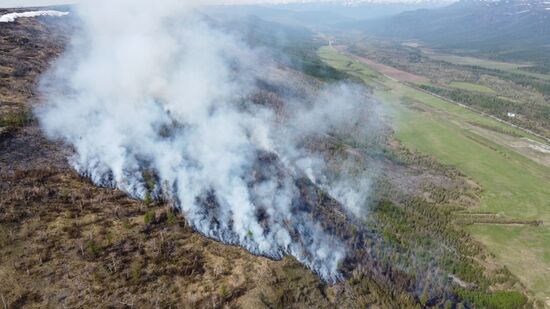 Russia Wildfires
