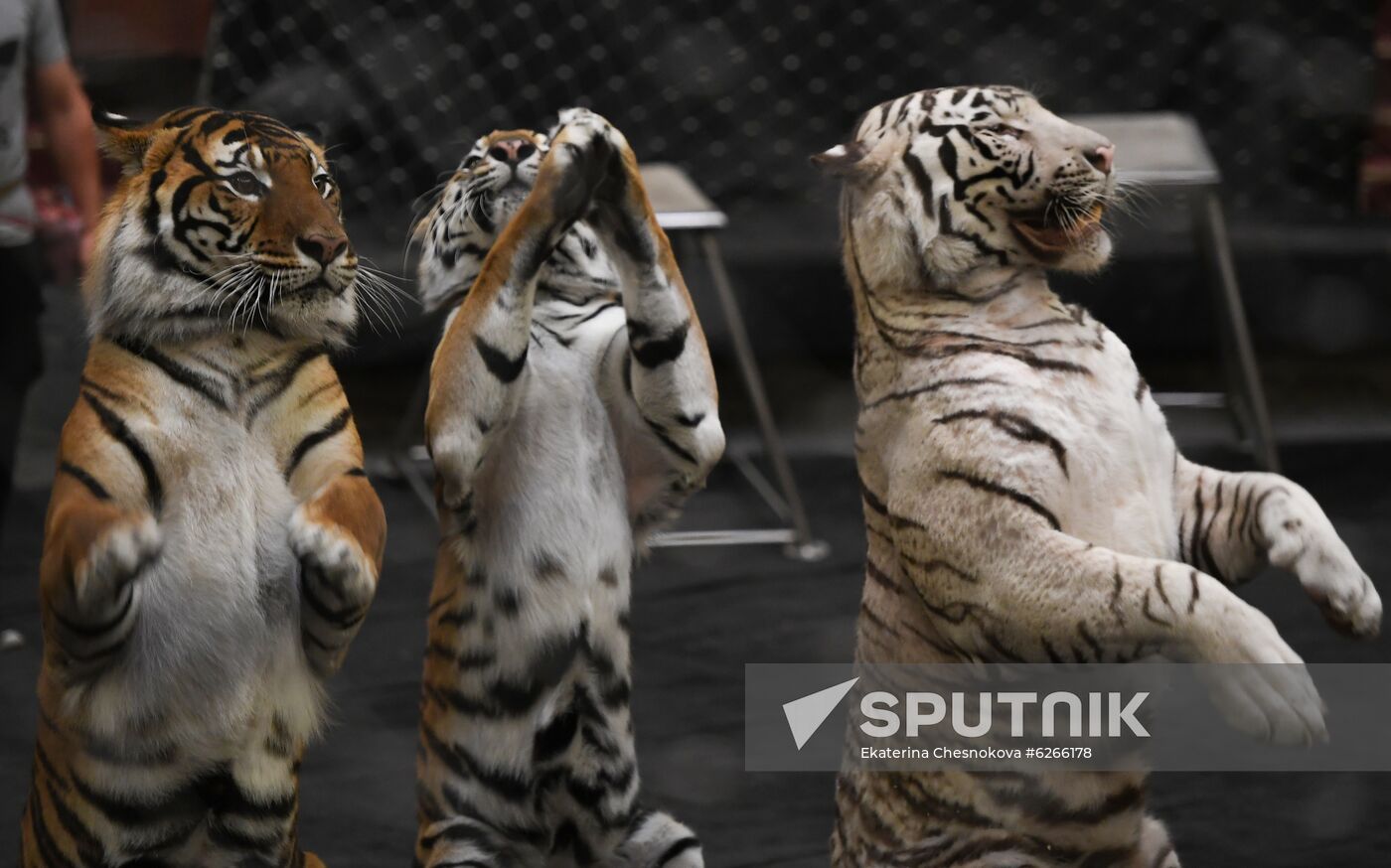 Russia Coronavirus Lockdown Ease