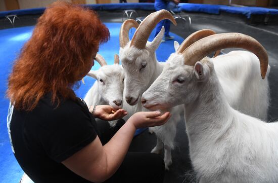Russia Coronavirus Lockdown Ease