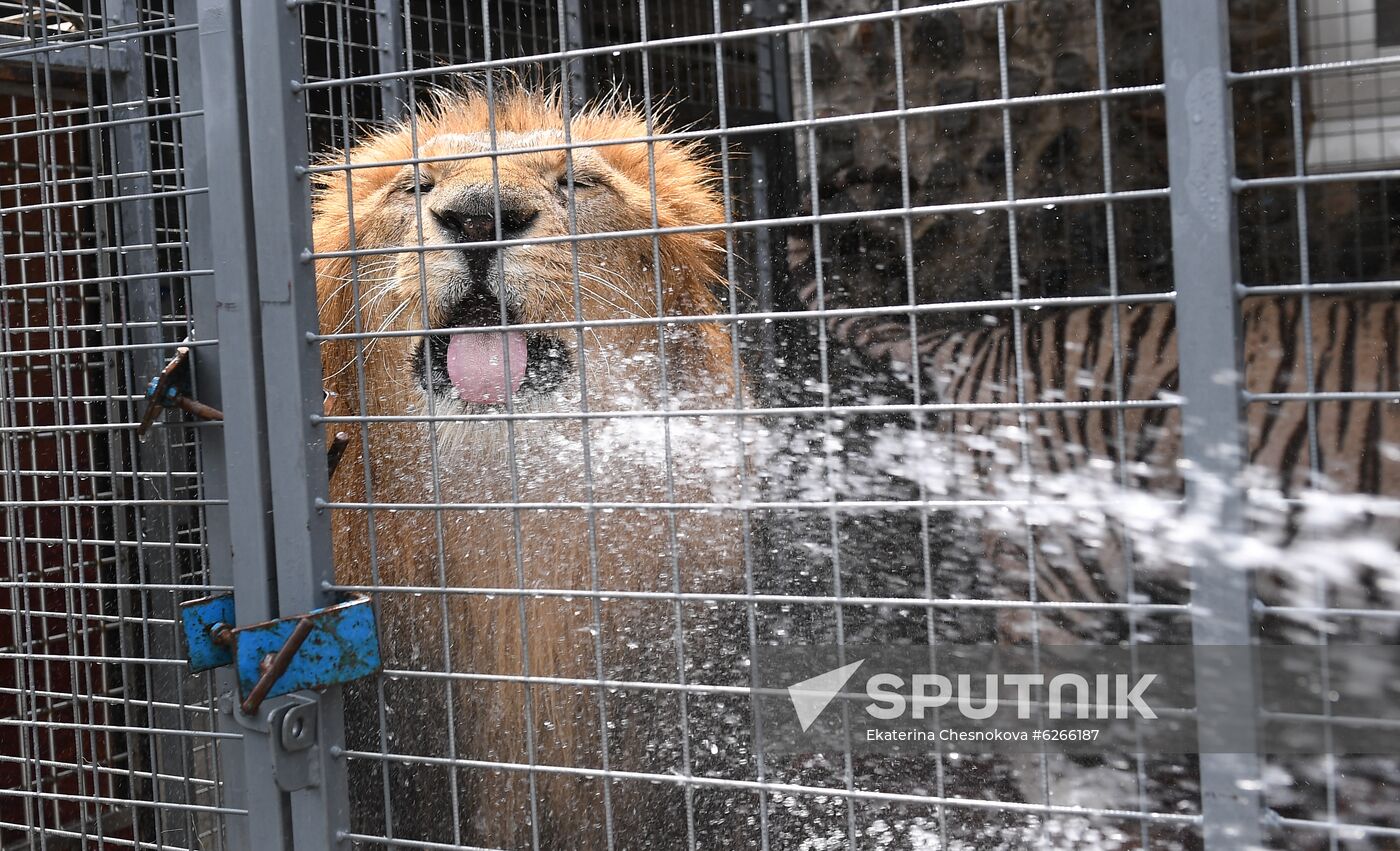 Russia Coronavirus Lockdown Ease