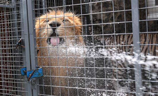 Russia Coronavirus Lockdown Ease