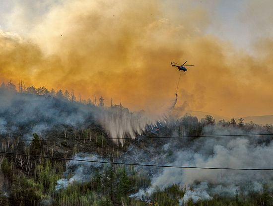 Russia Wildfires