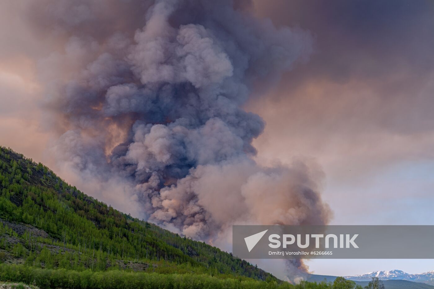 Russia Wildfires