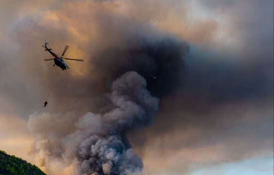 Russia Wildfires